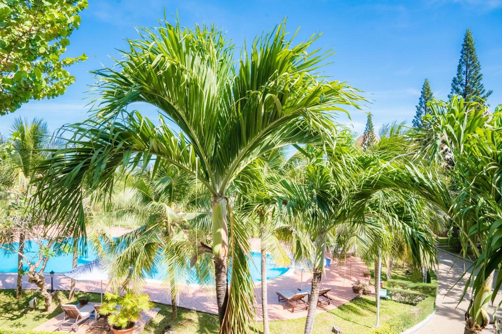 Lotus Vung Tau Resort & Spa Exterior photo